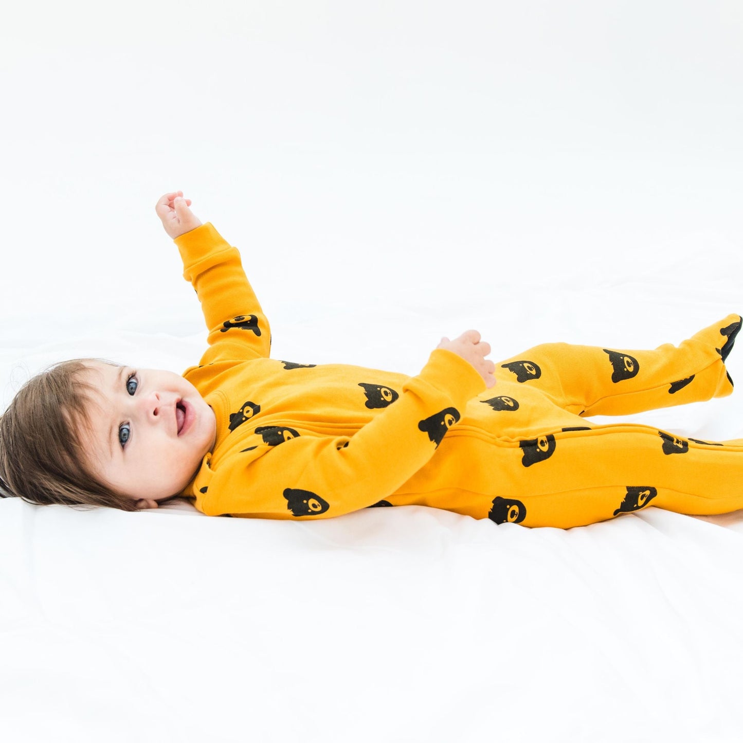 Growing Family - Honey Bear