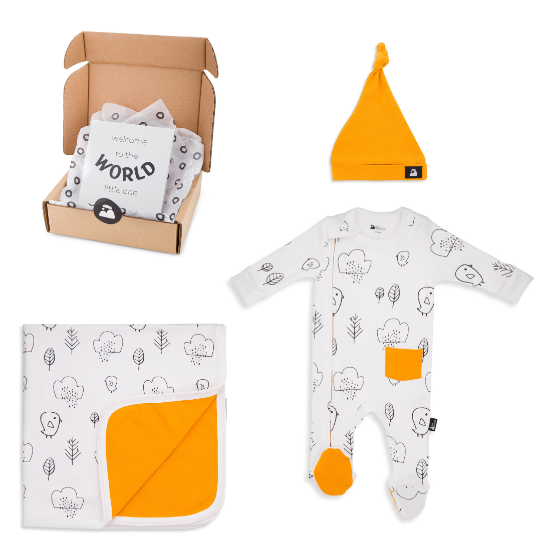 Welcome Baby Essentials Gift Box - Chalky Bird