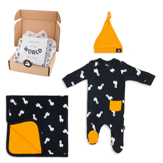 Welcome Baby Essentials Gift Box - Inky Llama